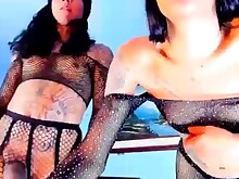 Ladyboy Lingerie Masturbation Shemale Stockings Webcam